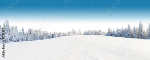 Foto-Schiebegardine ohne Schienensystem - Winter snowy landscape (von Jag_cz)