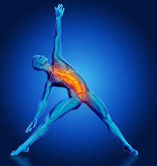 Sticker - 3D male figure in yoga pose with spine highlighted