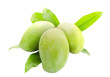 green mango fruit group, venereal bubo fruit isolated 