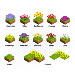 set of isometric tiles flowers include hyacinths, tulips, sunflowers, poppies, violets, buttercups, 