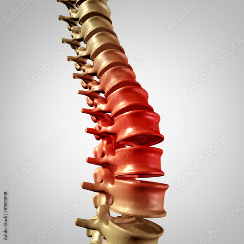 Naklejka - mata magnetyczna na lodówkę Spine Pain