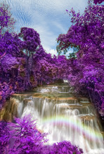 Purple Leaves At Huay Mae Khamin Waterfalls