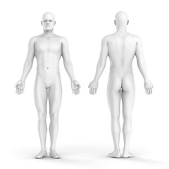 3d white man - front and back view