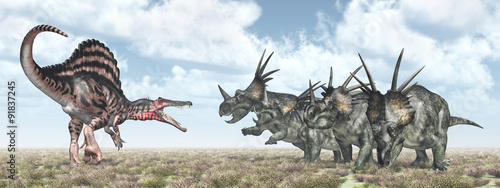 Obraz w ramie Spinosaurus and Styracosaurus
