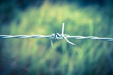 Barbed Wire Fence And Green Field Closeup