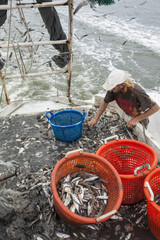 Wall Mural - commercial fisherman at work