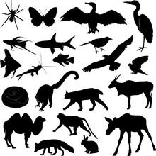 Set Of Animal Silhouettes