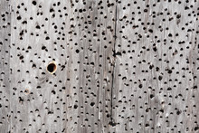 Holey Wooden Background