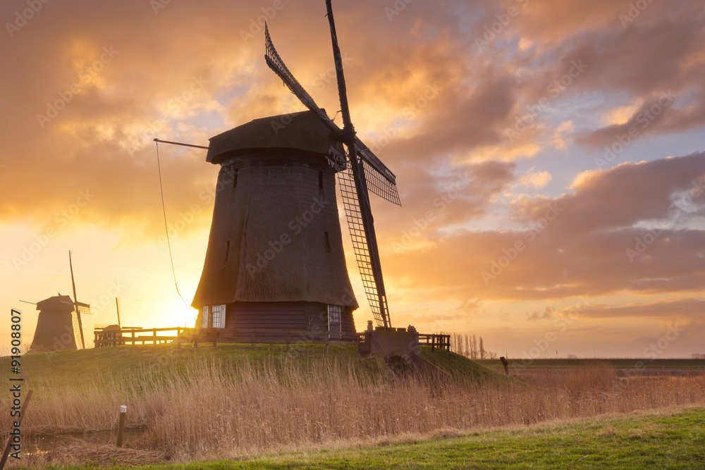 Traditional Dutch windmills at sunrise in The Netherlands - obrazy, fototapety, plakaty 