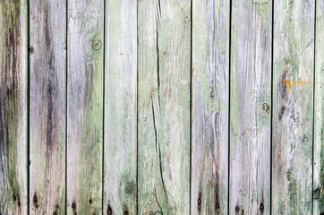 Wall Mural - Wood texture background