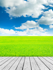 Green field under blue sky. Wood planks floor. Beauty nature bac