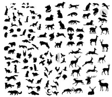 The Big Set Of Forest Vector Animals Silhouettes.