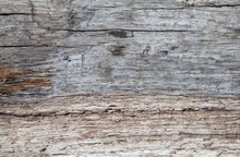 Driftwood Texture