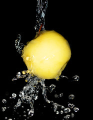 Canvas Print - Apple in spray of water on black background