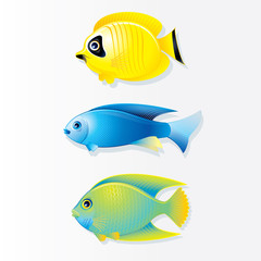 Wall Mural - Cartoon Coral reef Fish. Vector Image