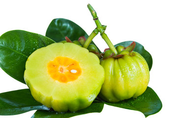 Wall Mural - Close up garcinia cambogia on leaves. Isolated on white.