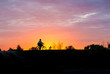 © Ruslan Gilmanshin - Silhouette of a man on bike at sunset