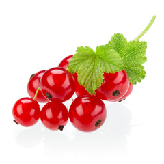 Wall Mural - Red currant with leaves isolated on white