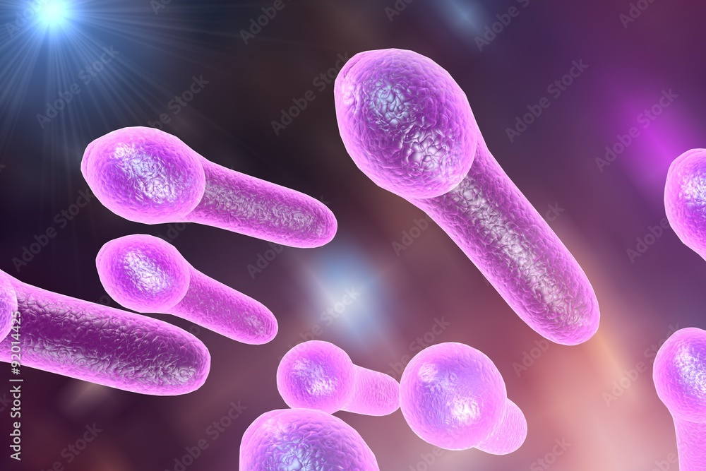 Ilustración de Stock Digital illustration of Clostridium tetani ...