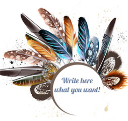 Poster - Vector background with colorful feathers