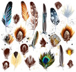 Big set of detailed bird feathers in realistic and engraved styl