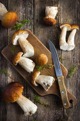 Canvas Print - boletus mushrooms on rustic background