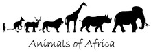 Silhouettes Of Animals Of Africa: Meerkat, Kangaroo, Kudu Antelope, Lion, Giraffe, Rhino, Elephant Isolated On White