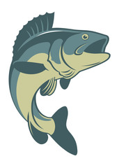 Wall Mural -  fish bass