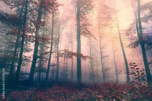 grunge-beautiful-red-colored-foggy-forest-landscape-background-grunge-filter-effect-used