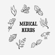 Medical herbs