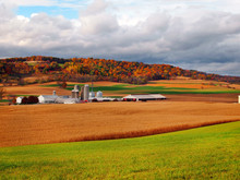 Farmland In Fall