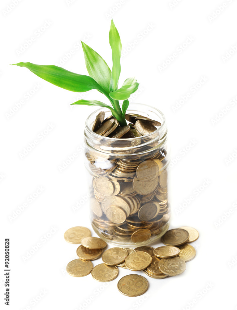 Plant growing in coins isolated on white