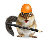 Fototapeta  - Funny architect chipmunk with pencil and hard hat on white
