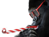 Fototapeta  - Funny gorilla with red sunglasses celebrating a party by blowing a striped horn
