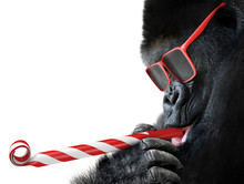 Funny Gorilla With Red Sunglasses Celebrating A Party By Blowing A Striped Horn
