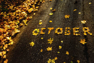 word october made of yellow autumn leaves at asphalt background.