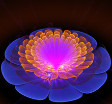 Illustration Of A Fractal Fantastic Bright Shiny Flower