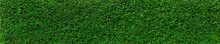 Natural Green Leaves Wall Background, No Pattern