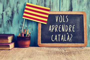 Wall Mural - question vols aprendre catala?, do you want to learn Catalan?