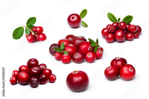 Stampe Cranberry,foxberry (lingonberry) isolated set