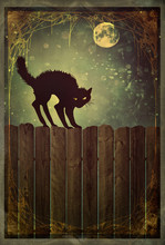 Black Cat On Fence With Vintage Look