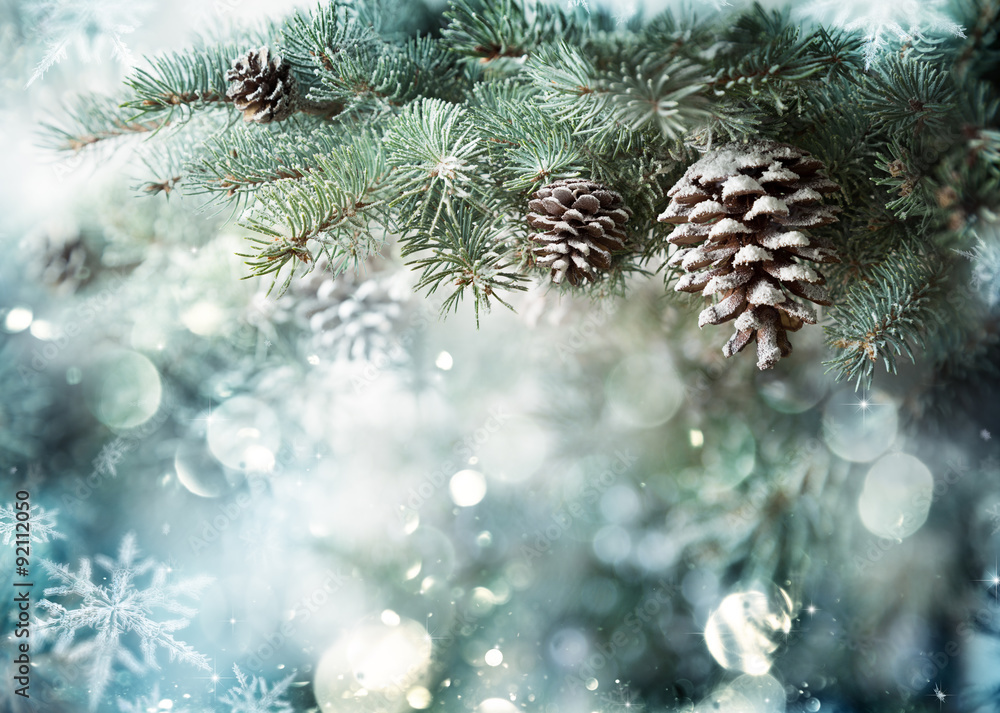 Fir Branch With Pine Cone And Snow Flakes
 - obrazy, fototapety, plakaty 