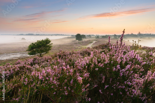 Obraz w ramie Romantic sunrise in a Dutch nature moorland