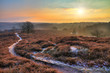 Early, cold winter morning at the Posbank in the Netherlands with a rising sun over a beautiful landscape. HDR
