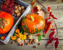 Pumpkins, Marigolds, Purple Leaves And Nuts On An Old Wooden Bac