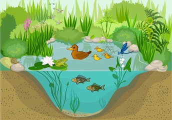 Wall Mural - At the pond 