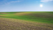 © sergnester - spring field