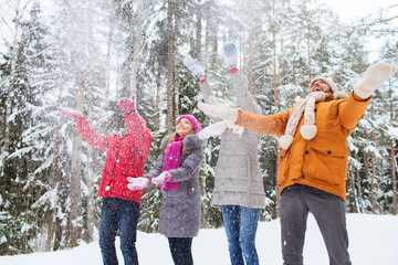 Wall Mural - group of smiling men and women in winter forest