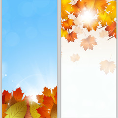 Wall Mural - Autumn Banners