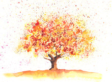 Watercolor Autumn Tree